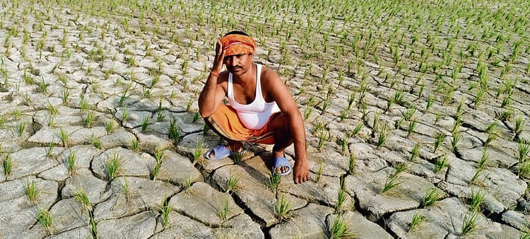 Gopalganj News : सावन में दहक रहे सूर्यदेव, रूठ गया माॅनसून, धान के खेतों में फटीं दरारें देख किसान मायूस