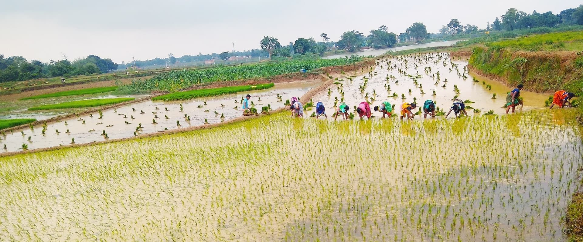 Bokaro News : मौसम खुलने से किसानों के चेहरे खिले, नेग-नियमों संग पूजा कर खेतों में उतरे