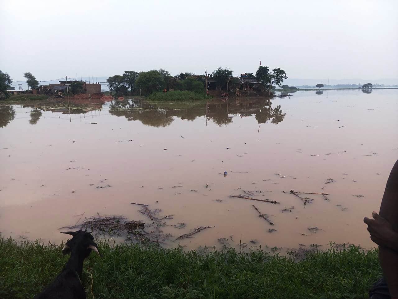 गंगा के जलस्तर में वृद्धि से किसानों की बढ़ी मुश्किल