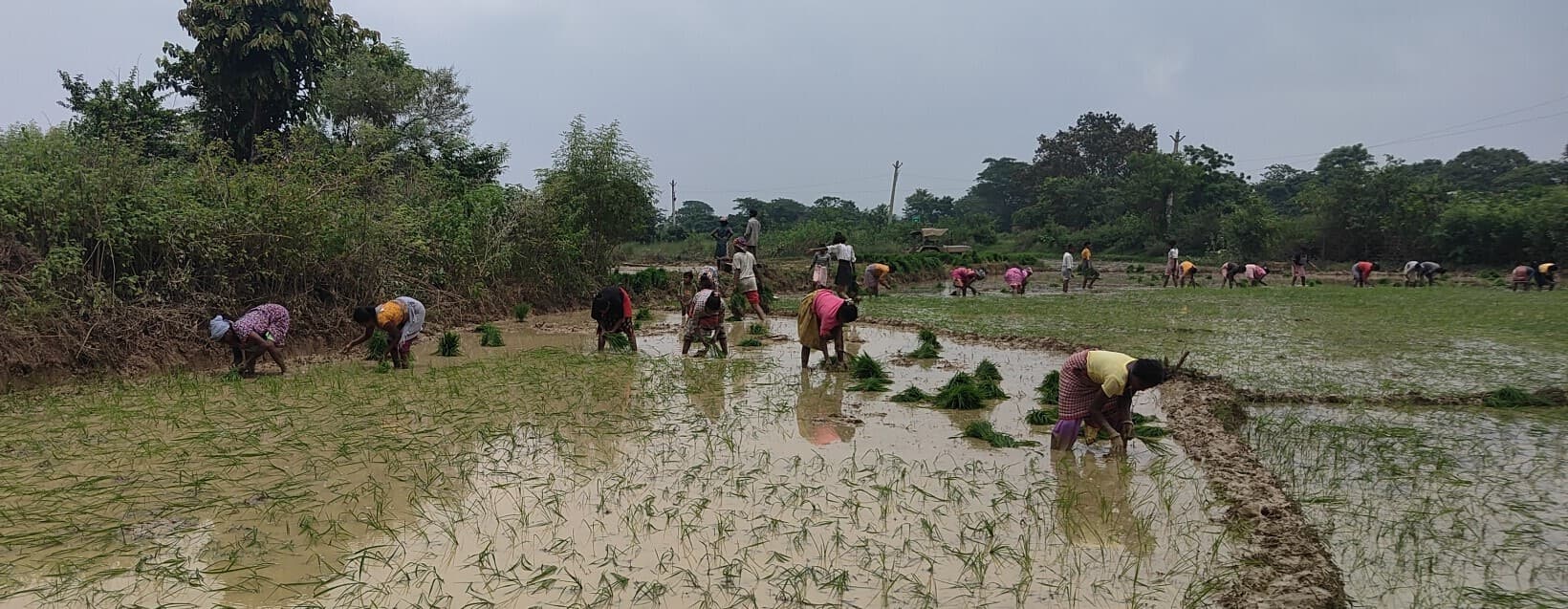 Weather News : आज और कल हल्की बारिश के आसार, वज्रपात भी हो सकता है