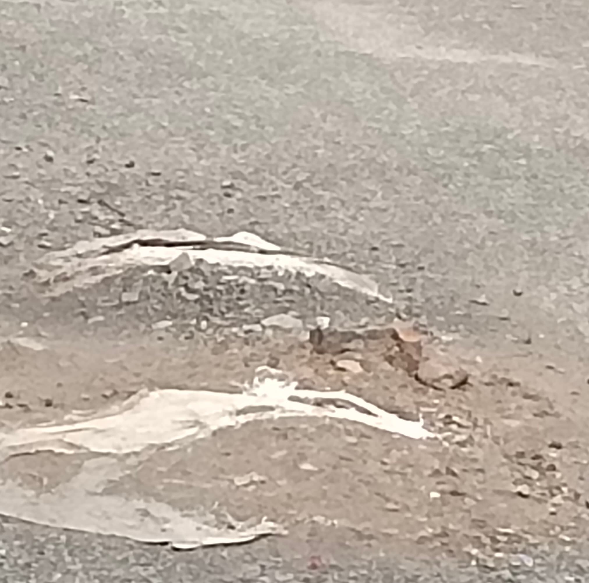 Dhanbad News : बरमसिया ओवरब्रिज पर दबंगों ने दो बार काटी बैरिकेडिंग, भारी वाहनों से एप्रोच रोड पर बना गड्ढा