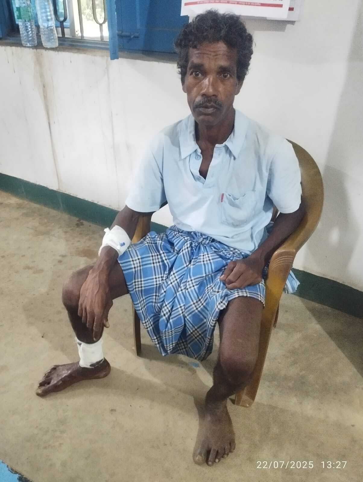 भालू के हमले में एक व्यक्ति घायल