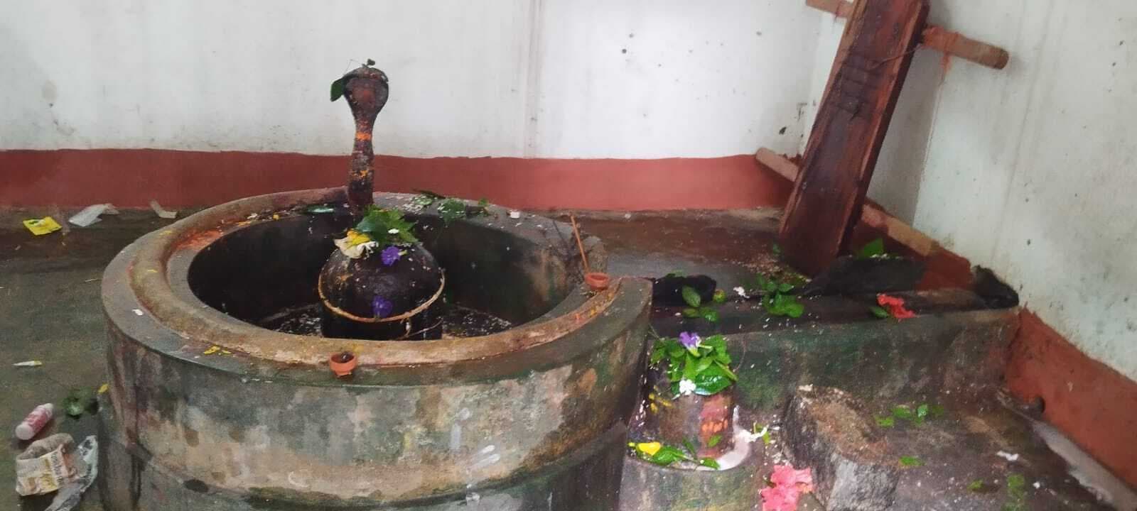 द्वादश ज्योतिर्लिंग के प्रतीक माने जाते हैं बम्हनी गांव के 12 शिवलिंग