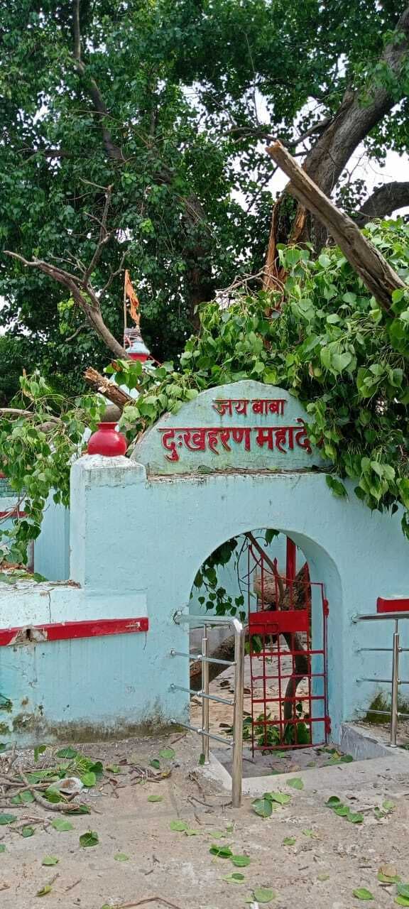 सैकड़ों साल पुराने पीपल के पेड़ की डाली मंदिर पर गिरी