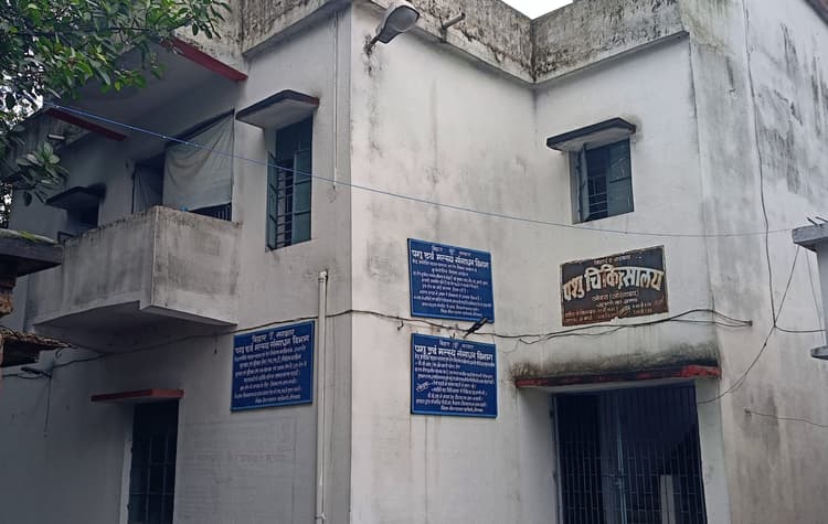 Aurangabad News : बिना डॉक्टर के चल रहा ओबरा में पशु अस्पताल