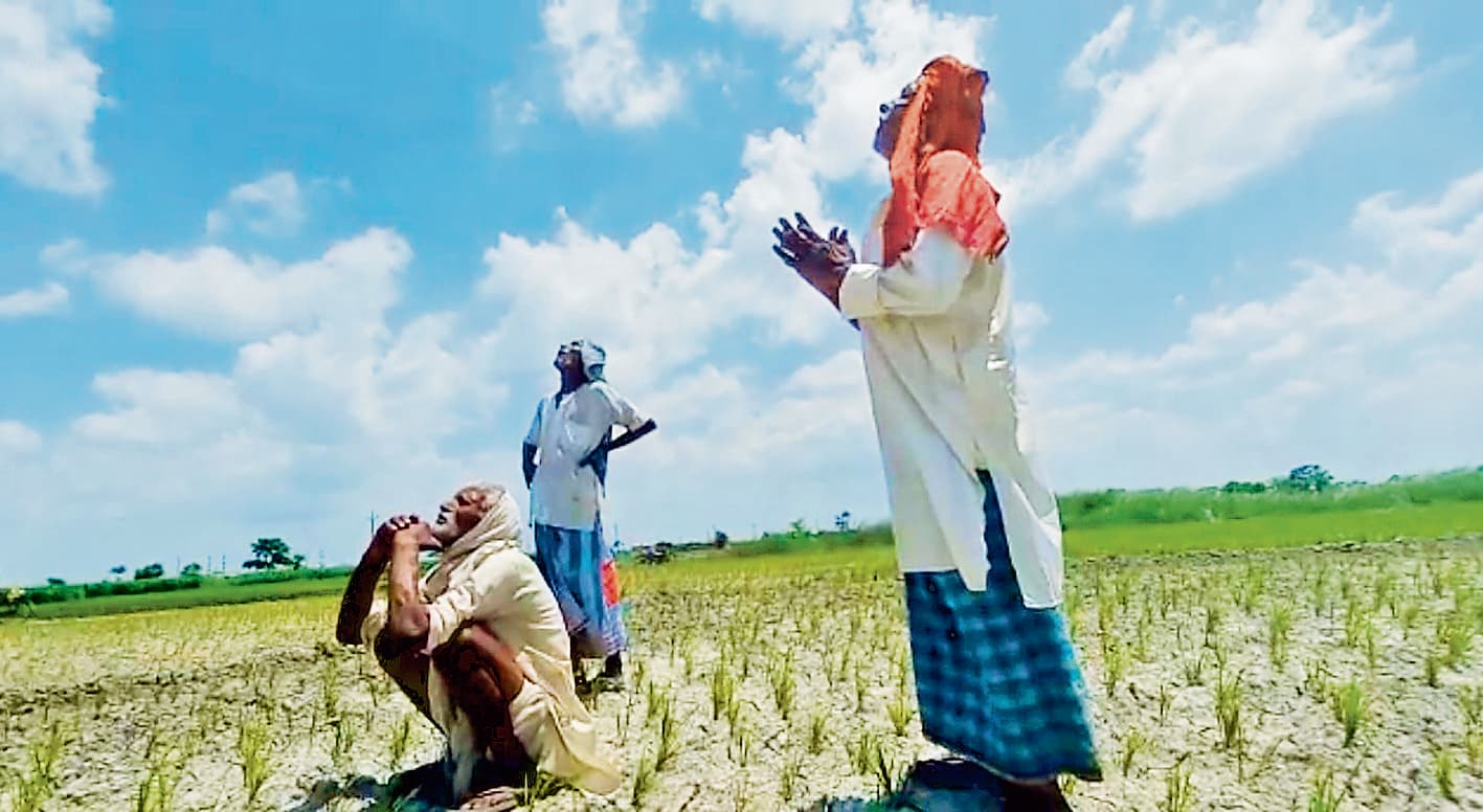 Gopalganj News  : लोगों को छकाने लगे बादल, किसान बेसब्री से कर रहे बारिश का इंतजार