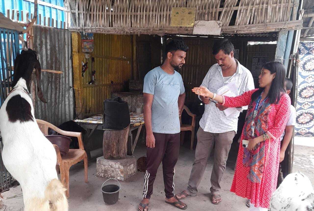 शहर में 140 मटन व चिकन दुकानों का नियम के विरुद्ध हो रहा संचालन