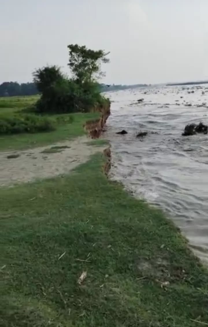 शेखपुरा में महानंदा का कटाव तेज