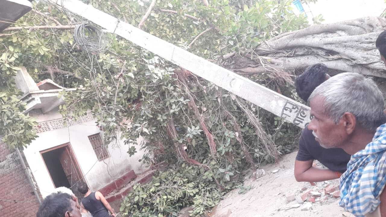 मकान पर गिरा बरगद का पेड़, टला बड़ा हादसा