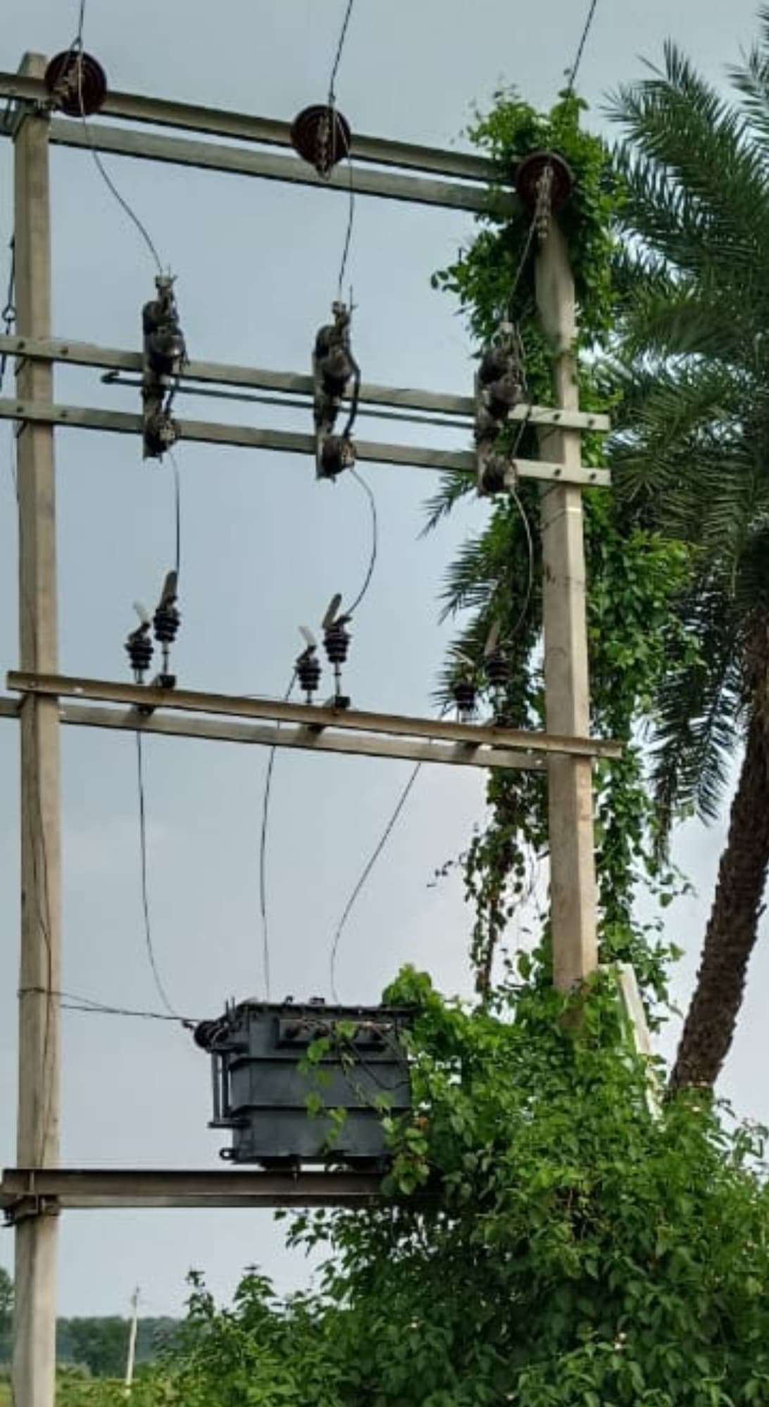 कई दिनों से ट्रांसफॉर्मर खराब, धान रोपनी प्रभावित