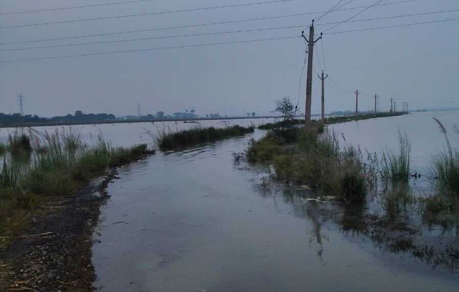 बाढ़ में डूबी गालिमपुर सती स्थान से भदौरा जाने वाली ग्रामीण सड़क