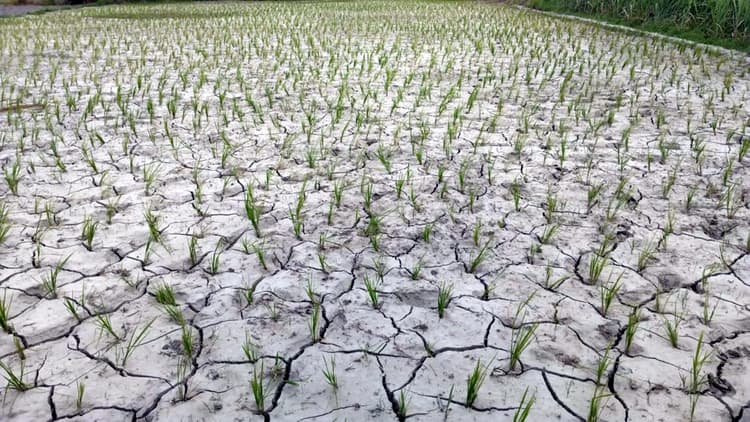 बारिश नहीं होने से गर्मी बनी जानलेवा, सड़काें पर सन्नाटा