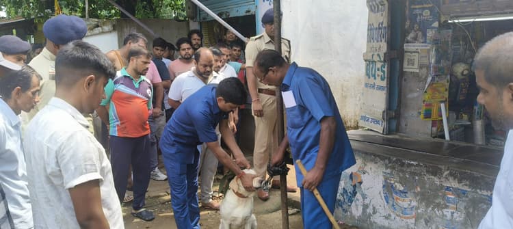 दरवाजा व ताला तोड़कर चोरों ने दो दुकानों में की चोरी, दो में रहे असफल