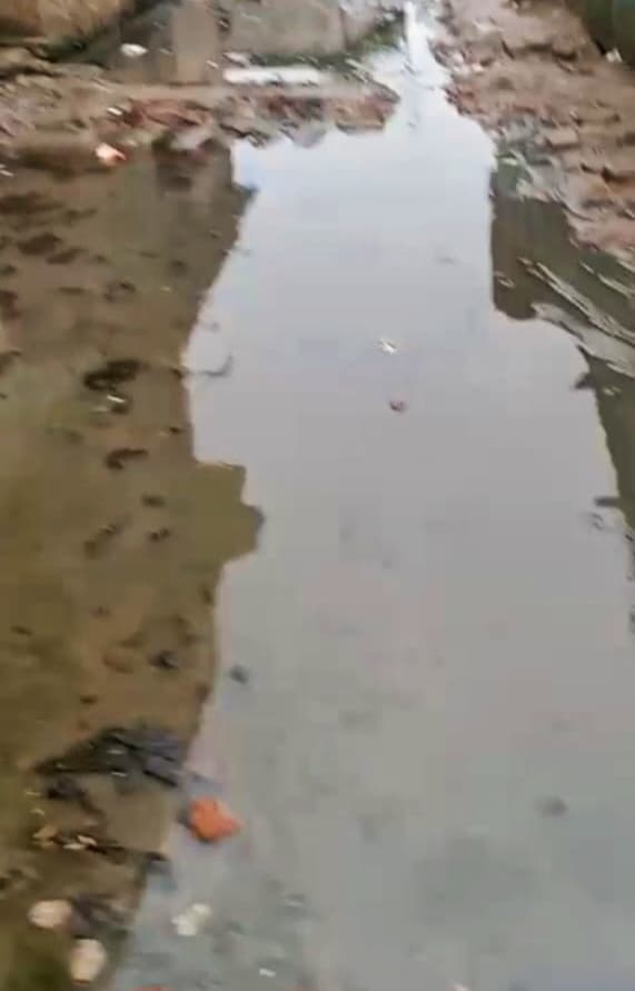 पतसंडा पंचायत के अल्पसंख्यक टोला में जलजमाव, ग्रामीण परेशान