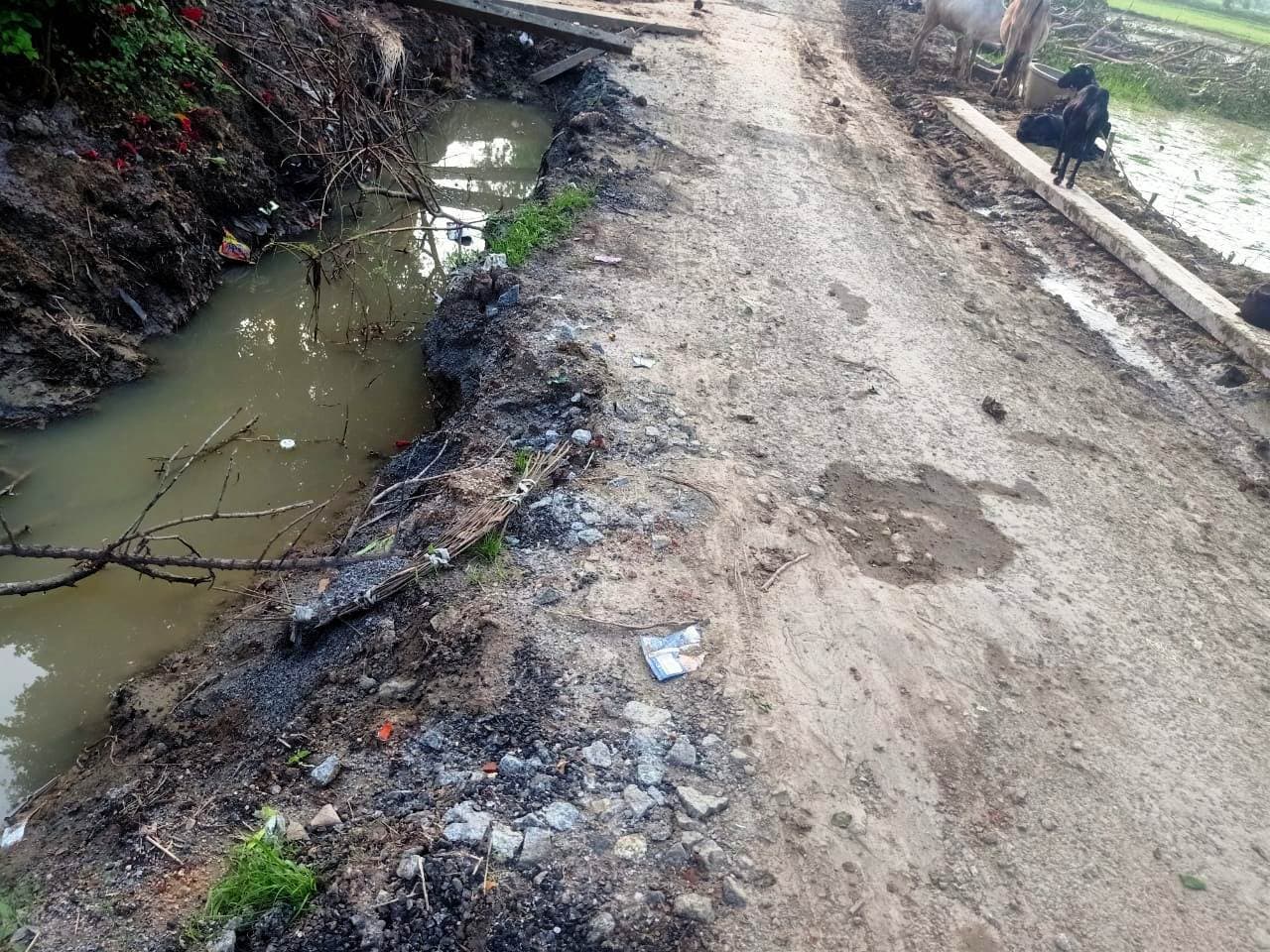 करहा उड़ाही के बहाने पक्की सड़क व पीपल के हरे पेड़ काटे