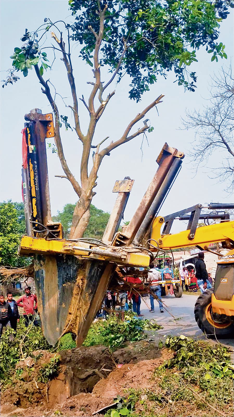 Siwan News : सीवान से मशरक तक सड़क चौड़ीकरण के दौरान हजारों पेड़ों की शिफ्टिंग