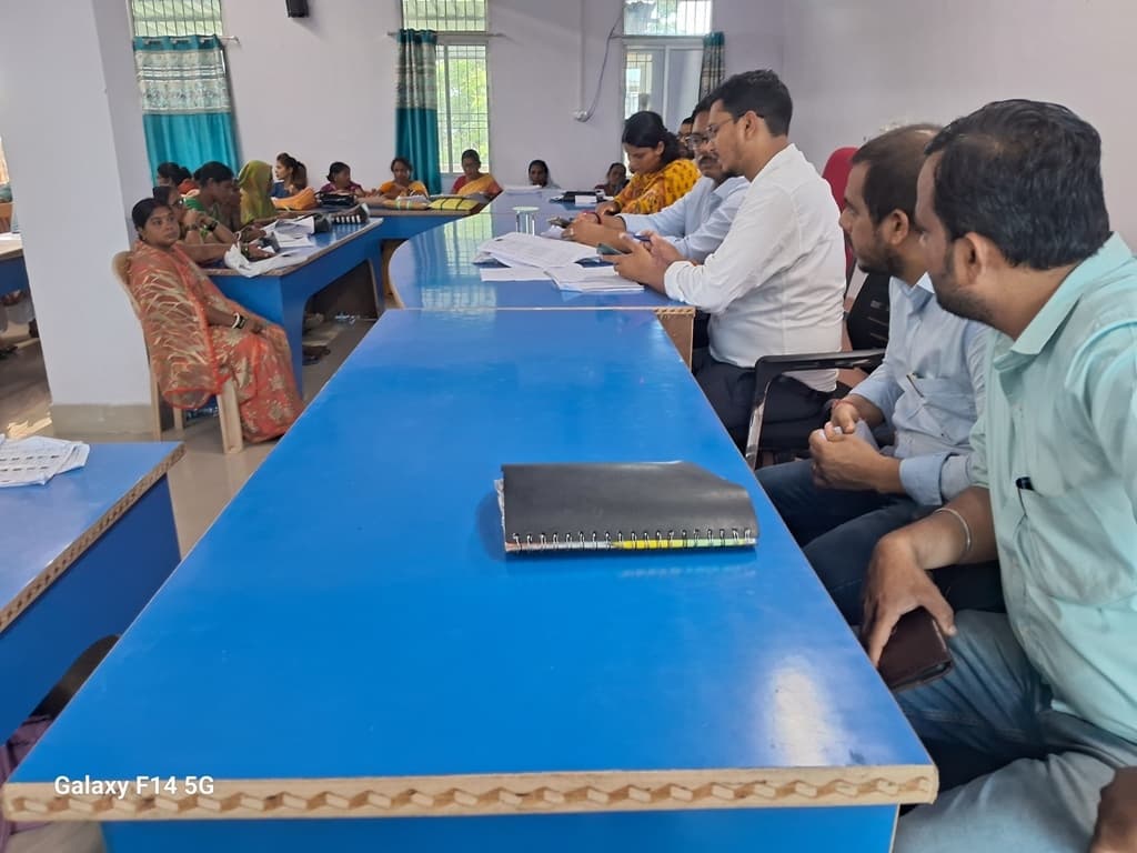 बीएलओ को ससमय पुनरीक्षण कार्य करने का निर्देश