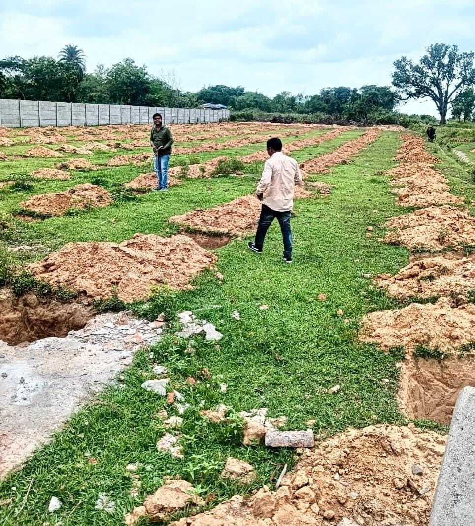 East Singhbhum News : घाटशिला में हरित क्रांति योजना से रोपे जाएंगे 14 हजार फलदार पौधे