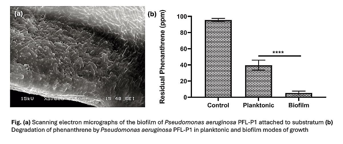Rourkela News: एनआइटी राउरकेला को पर्यावरण अनुकूल बायोफिल्म तकनीक के लिए मिला पेटेंट