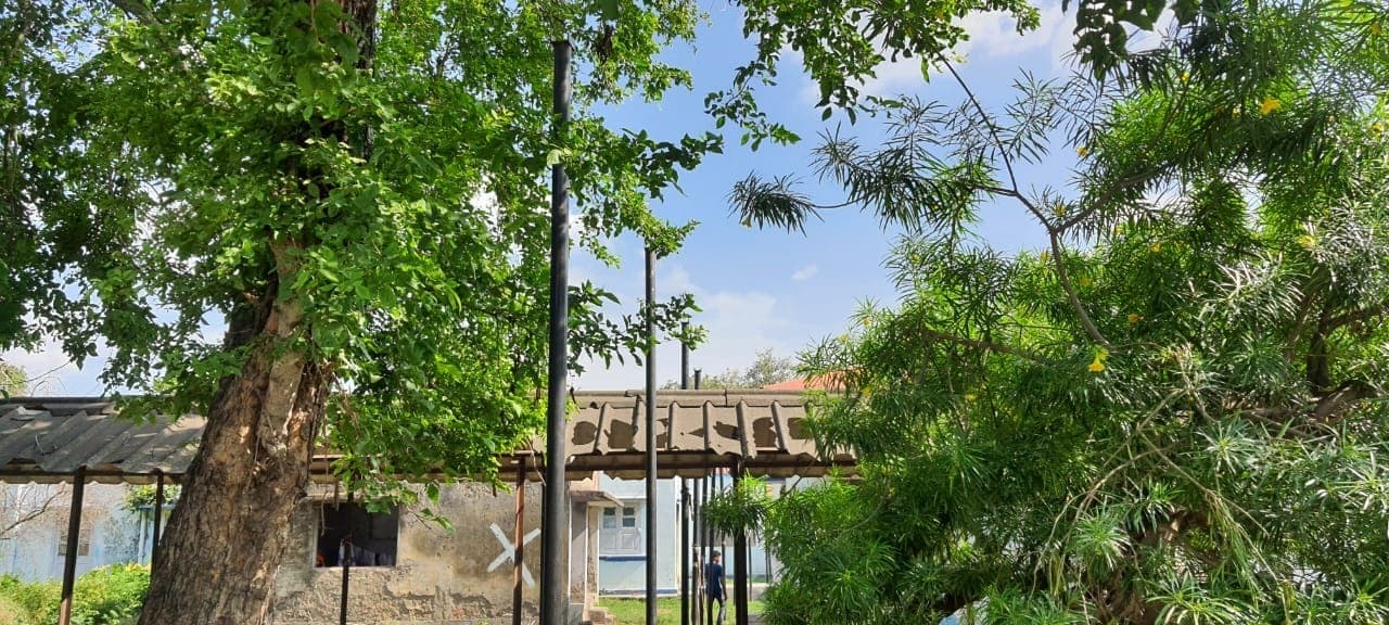 सैकड़ों मीटर लंबे तांबे के पाइप को चोरों ने उखाड़ा