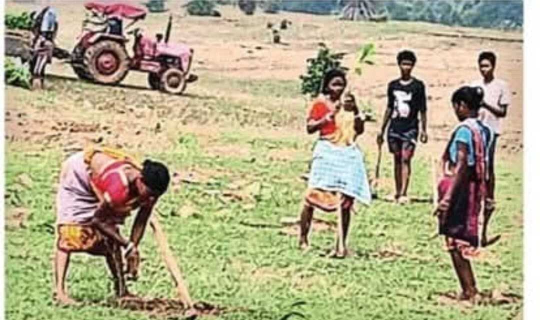 वनरोपण कार्यक्रम के श्रमिकों ने मजदूरी भुगतान की मांग की