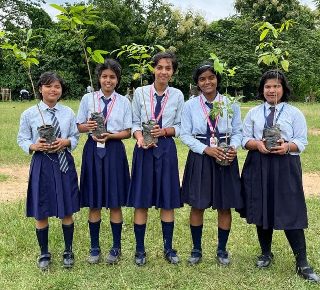 पर्यावरण को संरक्षित करने के लिए लगाये जा रहे पौधे : संजय पांडे