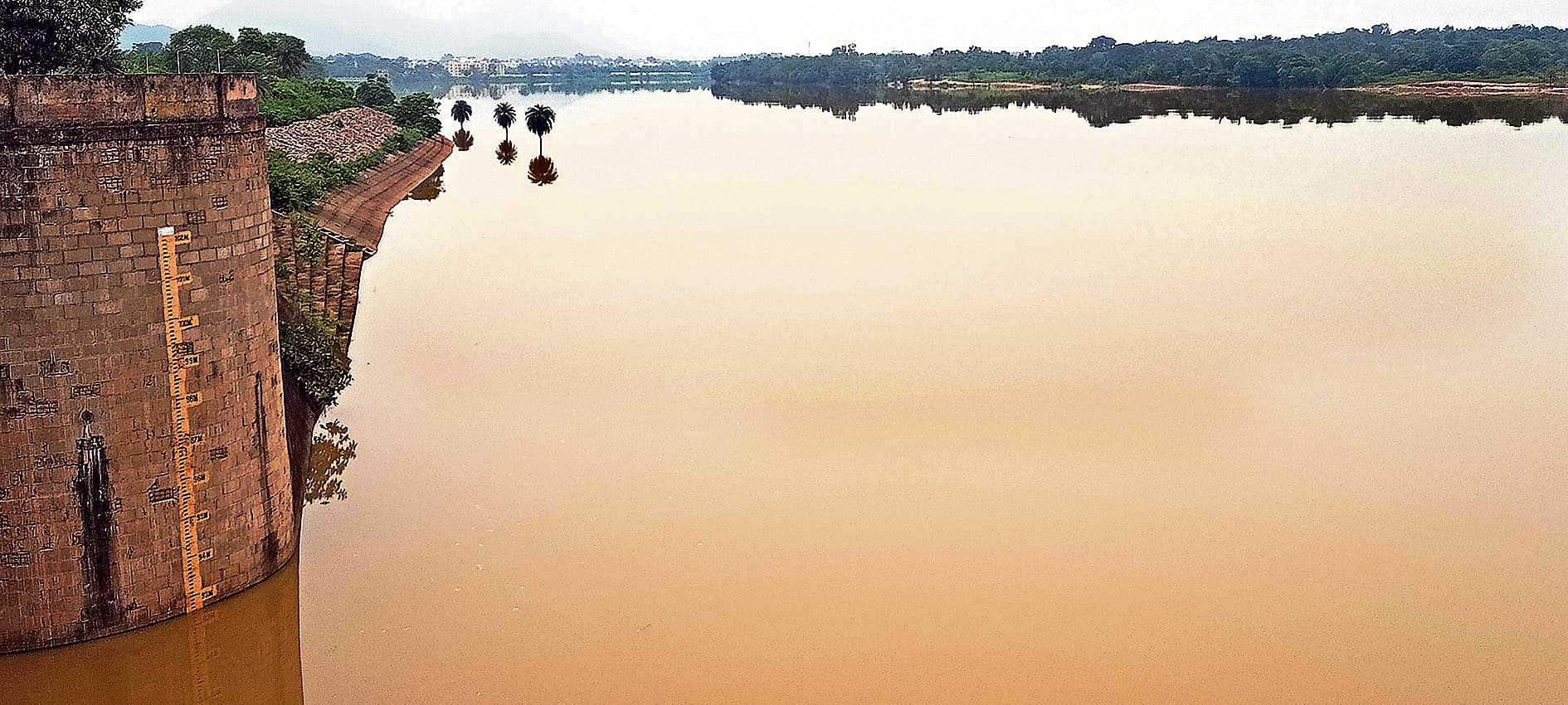 East Singhbhum News : बराज में पानी बढ़ने से खेत डूबे, किसान चिंतित