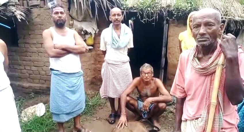 दिलावरपुर में  बारिश के दौरान वज्रपात से कई घरों की बिजली गुल, एक मवेशी भी मरी