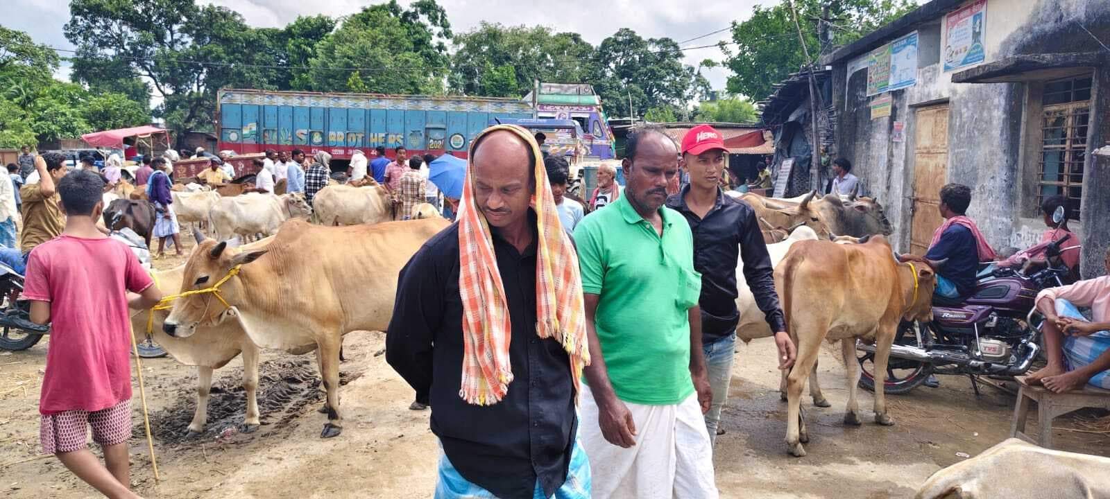 कन्या विद्यालय के जाने के मार्ग पर लगता मवेशी हाट, परेशानी