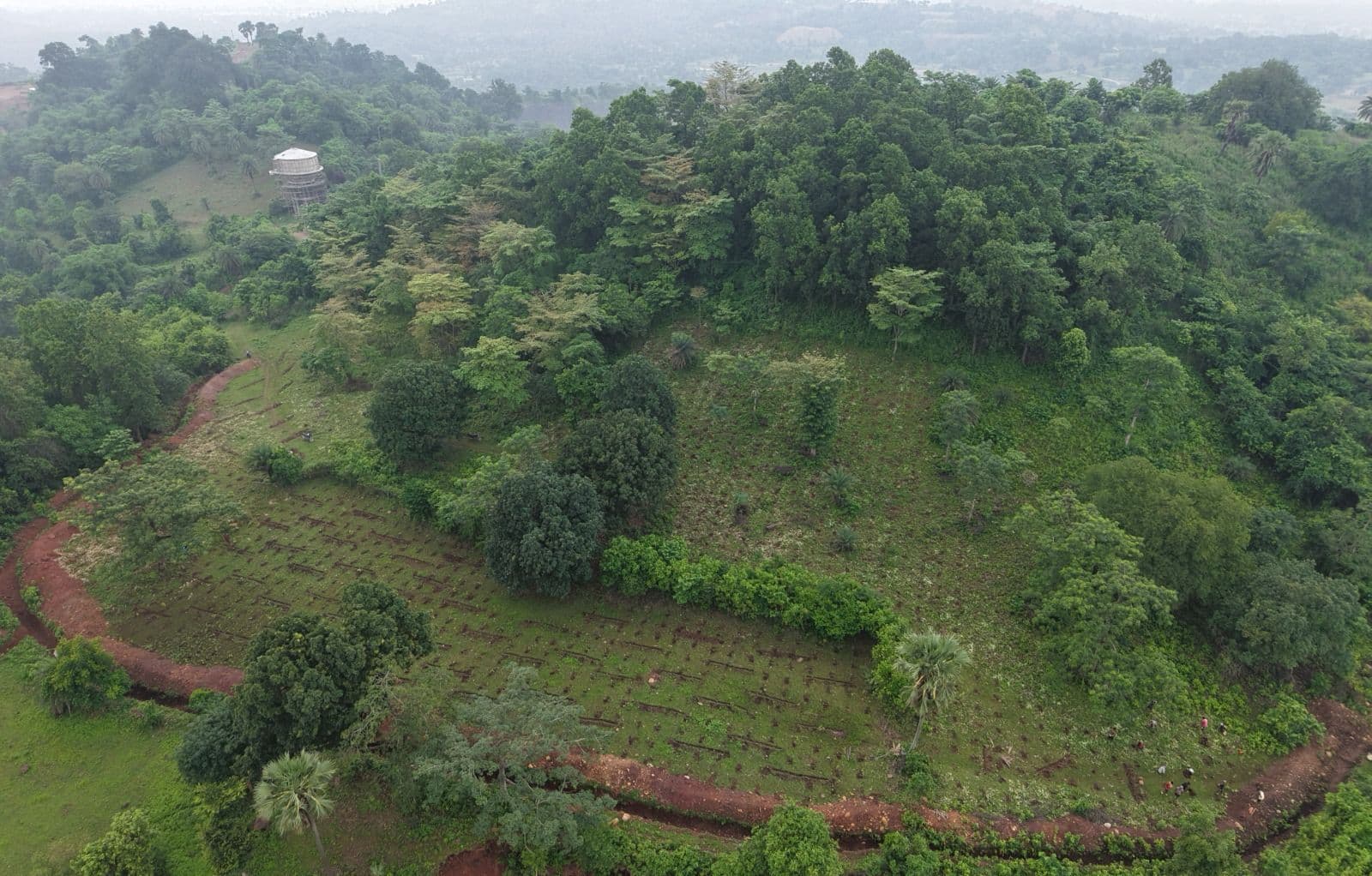 साहिबगंज जिला को हरा-भरा करने के तैयारी में जुट वन विभाग