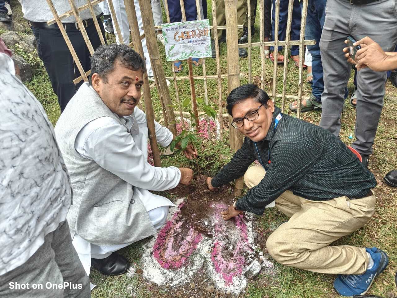 सांसद ने जवाहर नवोदय विद्यालय परिसर में किया पौधरोपण