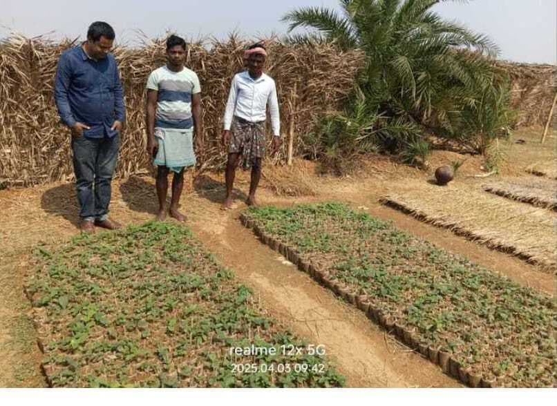 वन विभाग ने चयन किया कैटल गार्ड