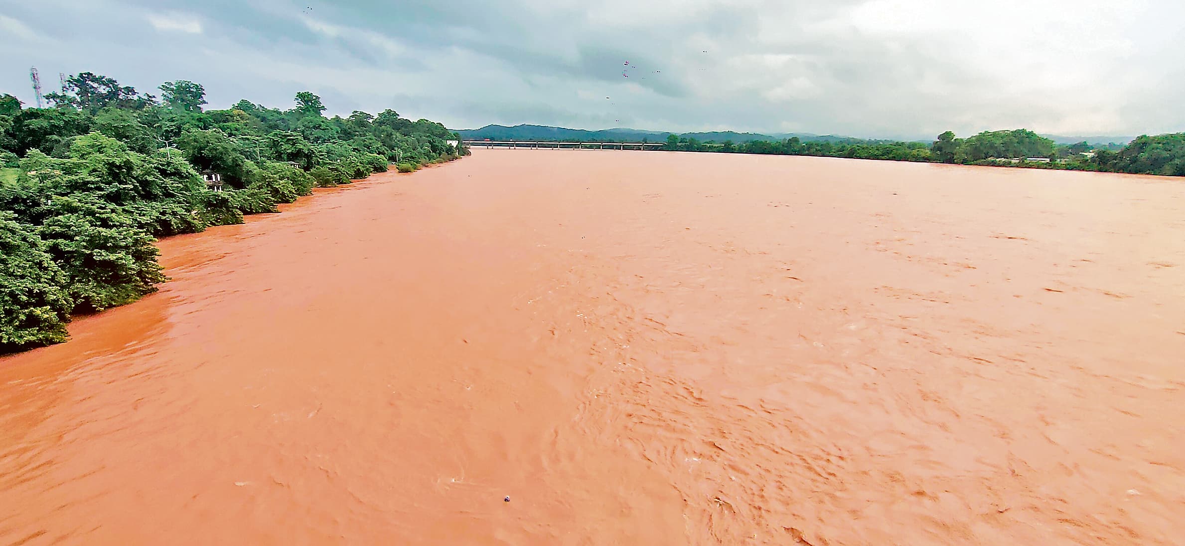 Bhubaneswar News: राउरकेला, बालेश्वर, भद्रक व जाजपुर समेत कई इलाकों में नदियां उफान पर, लोगों को सुरक्षित स्थानों पर पहुंचाने का निर्देश