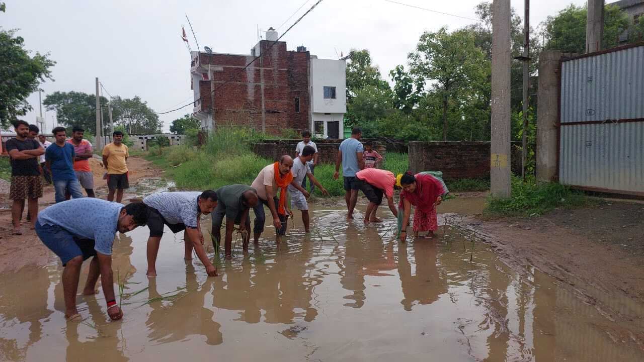 जलजमाव से परेशान लोगों ने सड़क पर की धान की रोपाई