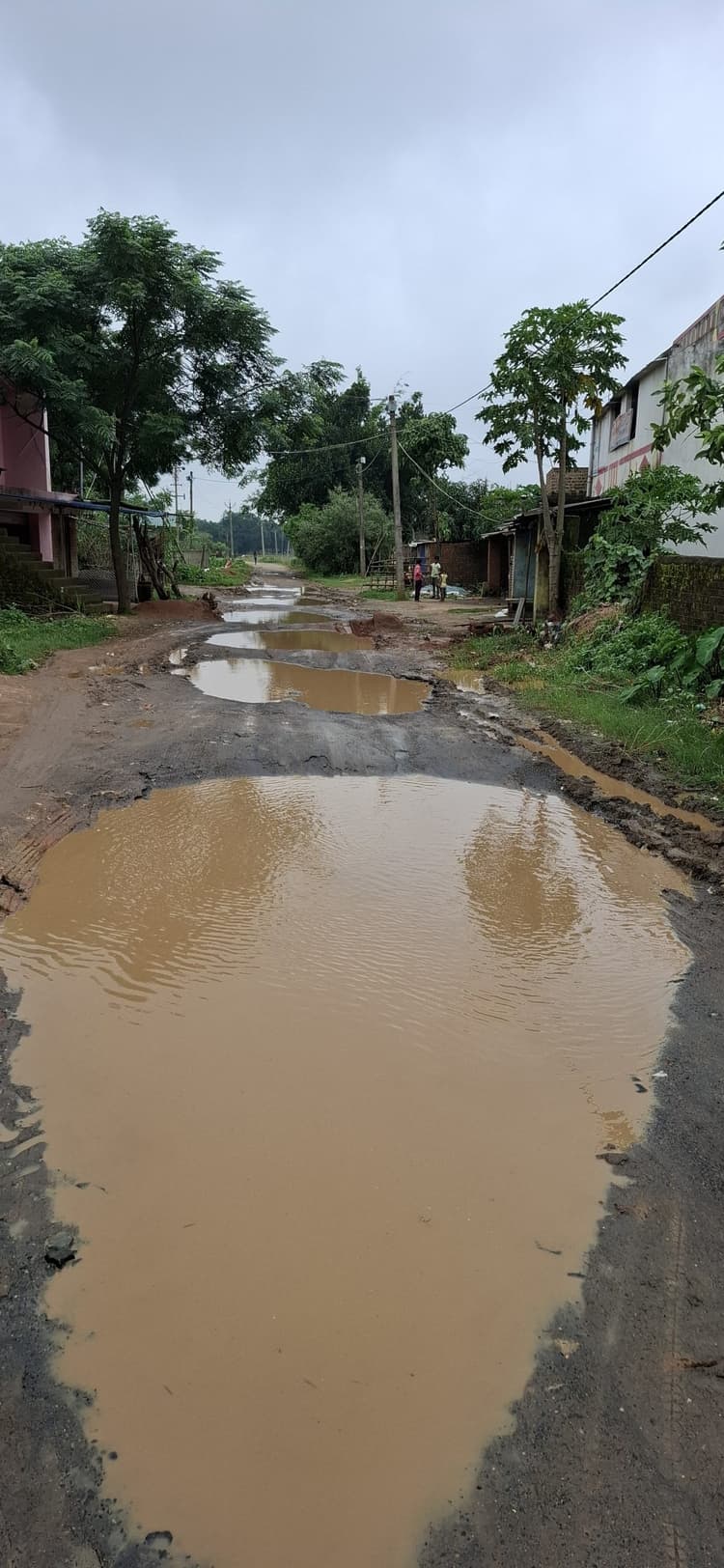 Giridih News :देवरी-नेकपुरा सड़क की स्थिति हुई जर्जर