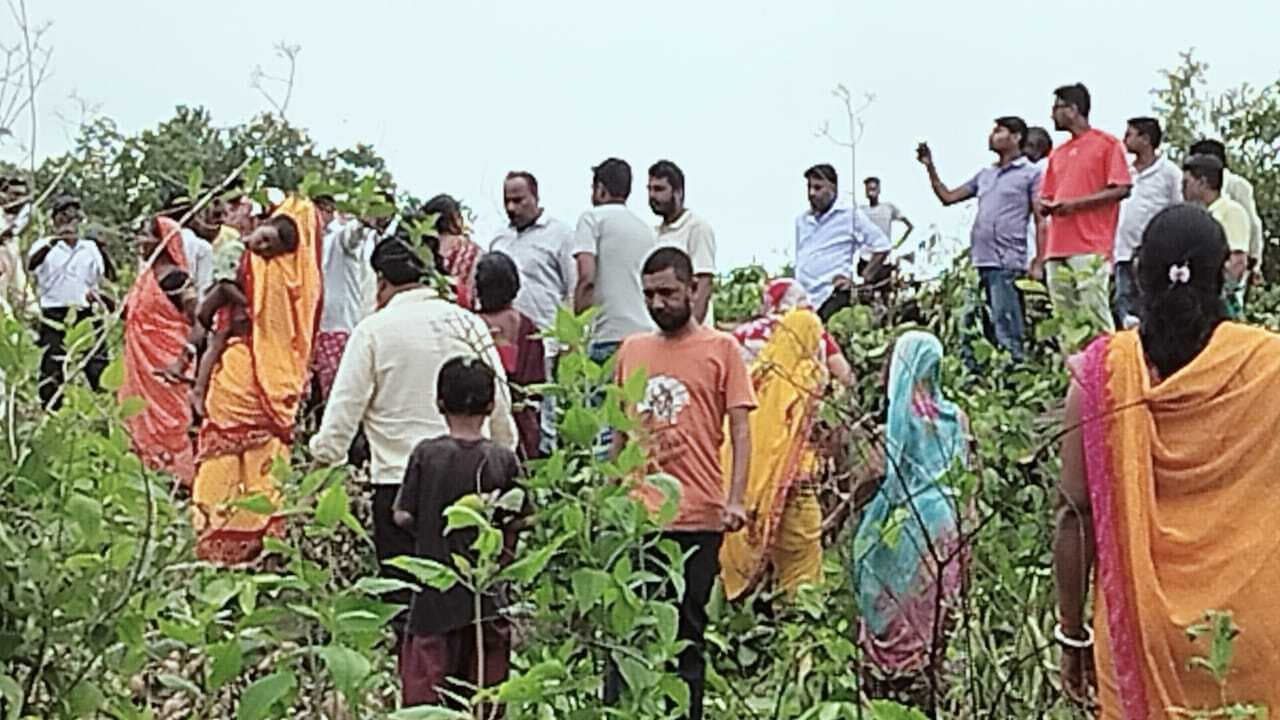 Bokaro News : माइंस विस्तार में पेड़ों की कटाई का मुद्दा बना बाधक