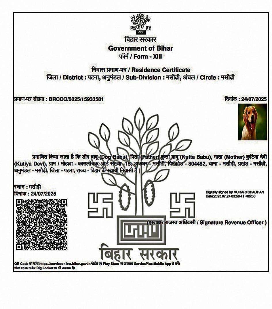 Patna News : मसौढ़ी में कुत्ते के नाम से जारी हुआ आवास प्रमाणपत्र