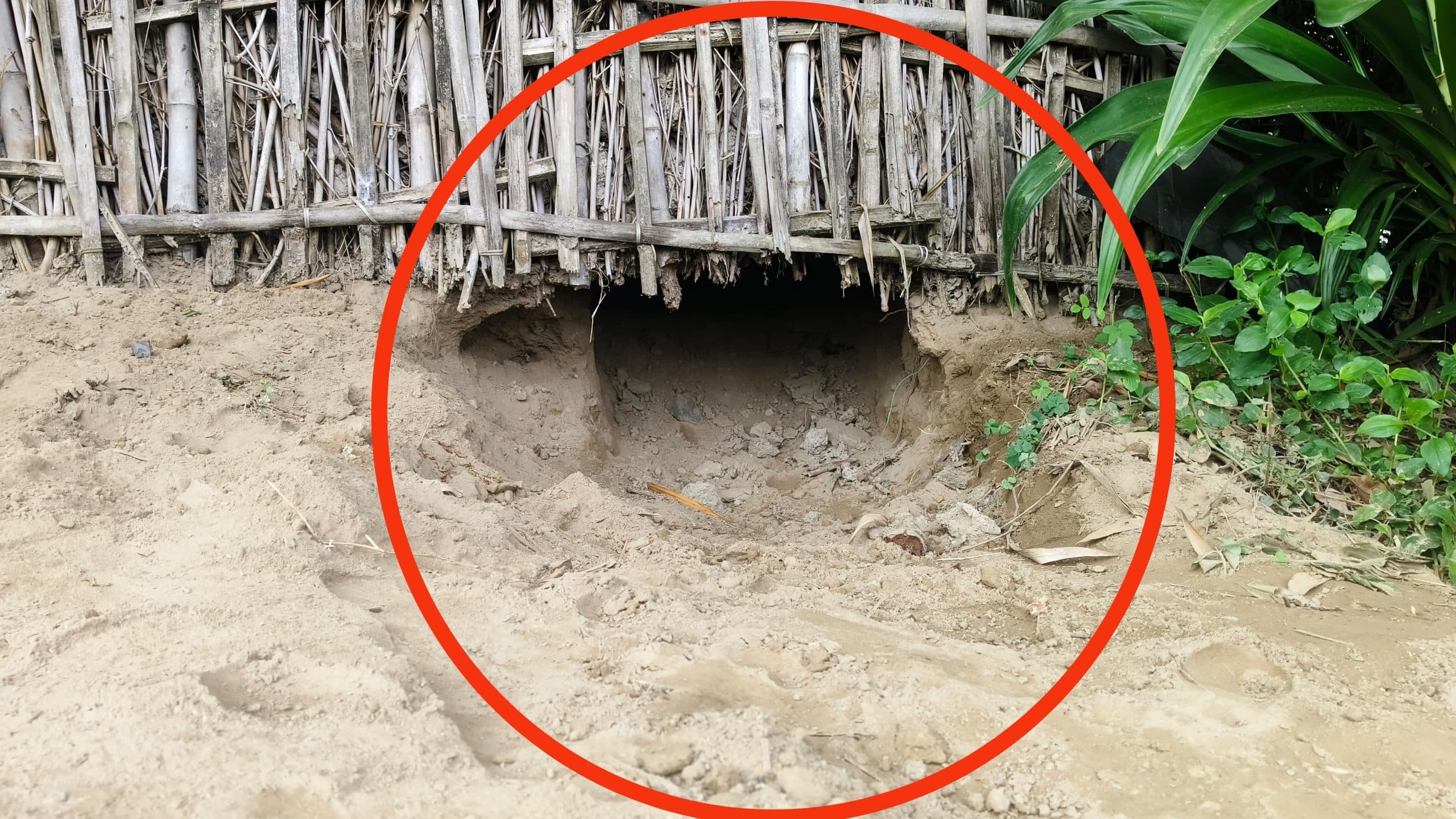 घर में सेंधमारी कर चोरी का असफल प्रयास