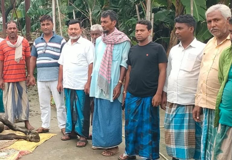 बिजली की चपेट में आने से दो गायों की मौत