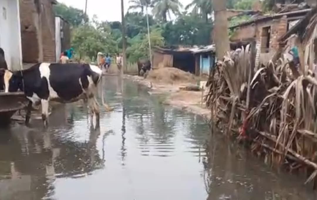 सहदेवपुर गांव में दबंगों ने बारिश का पानी सड़क पर किया अवरूद्ध, दो दर्जन घरों में घुसा पानी