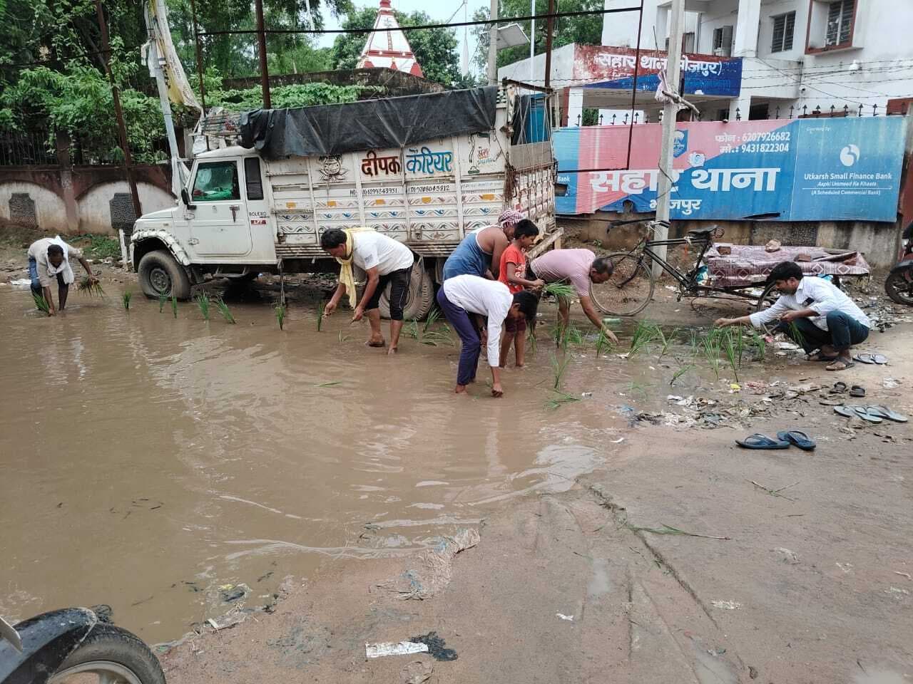 गड्ढ़े में तब्दील सड़क पर धान की रोपनी कर ग्रामीणों ने जताया विरोध