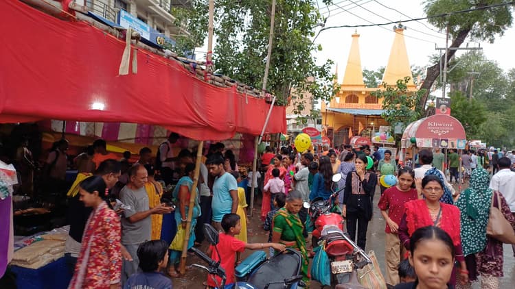 आस्था के साथ मनी नागपंचमी, दूध-लावा चढ़ा कर हुई पूजा