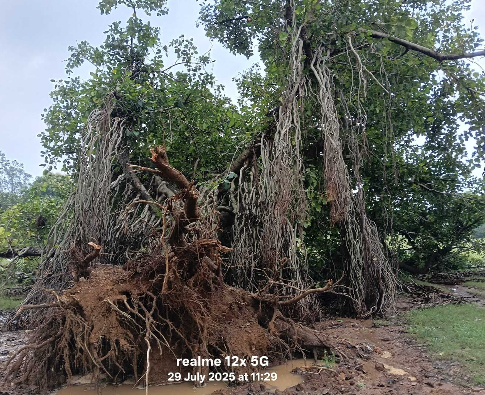 मूसलाधार बारिश से करौं में जनजीवन अस्त-व्यस्त