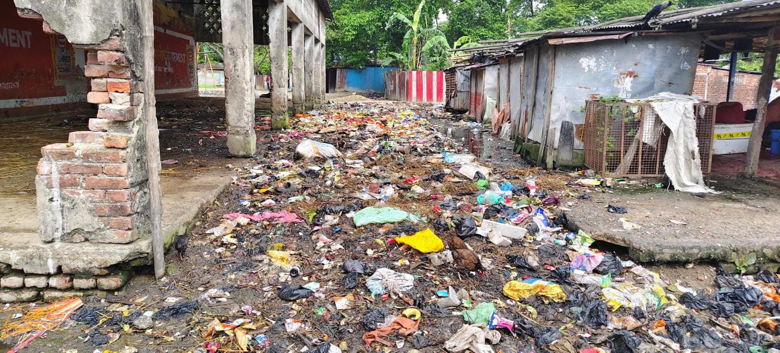 छत्तरगाछ बाजार : मवेशी हाट में गंदगी का अंबार, लोग परेशान
