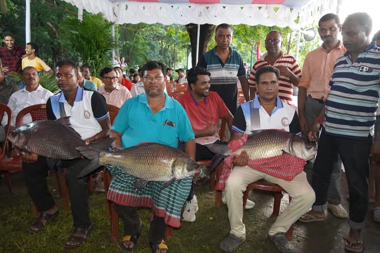 jrd tata Angling competition :  अतुल राय ने पकड़ी 11 किलो 750 ग्राम की मछली पड़कर बने विजेता