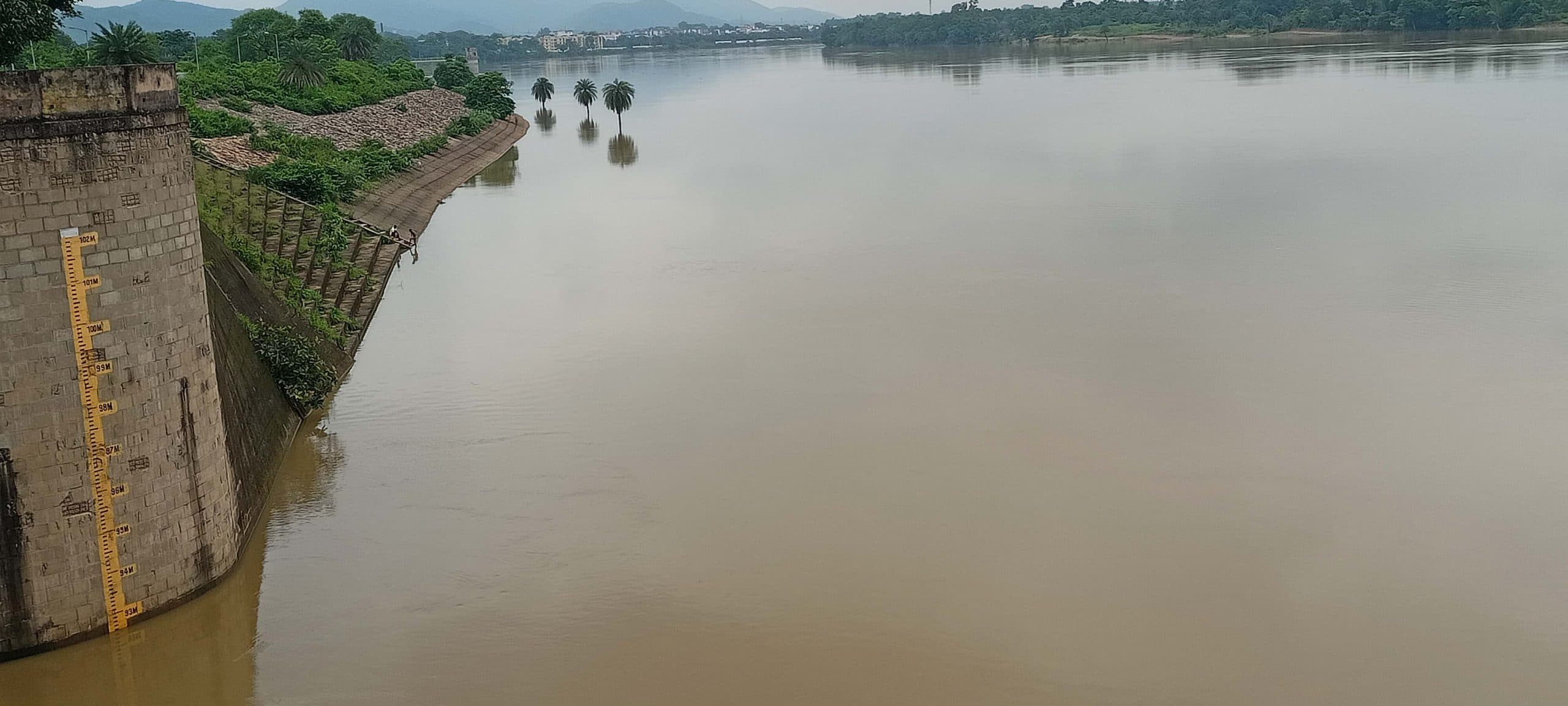 East Singhbhum News : बराज के गेट बंद होते ही कई एकड़ खेत डूबे, धान की फसल बर्बाद