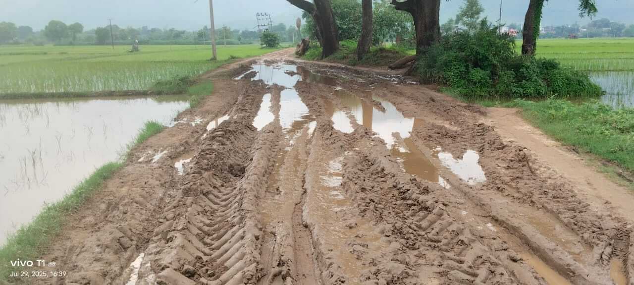 वार्ड नंबर -13  से सोन जाने वाले वाला रास्ता जर्जर, दो हजार की आबादी को आवागमन में परेशानी