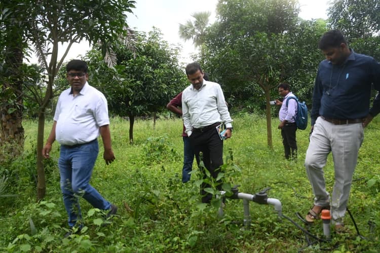 महिला समूहों को सब्जी उत्पादन के लिए किया गया प्रेरित