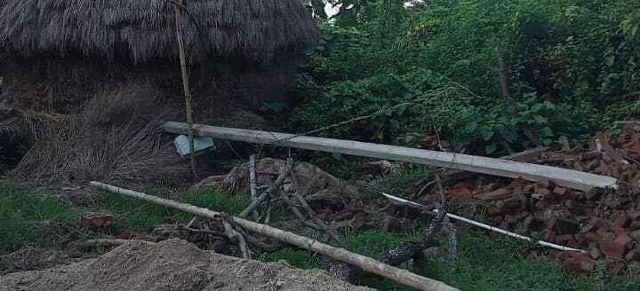 गिरे बिजली पोल में दौड़ रहा है करेंट, खतरे में है ग्रामीणों की जान