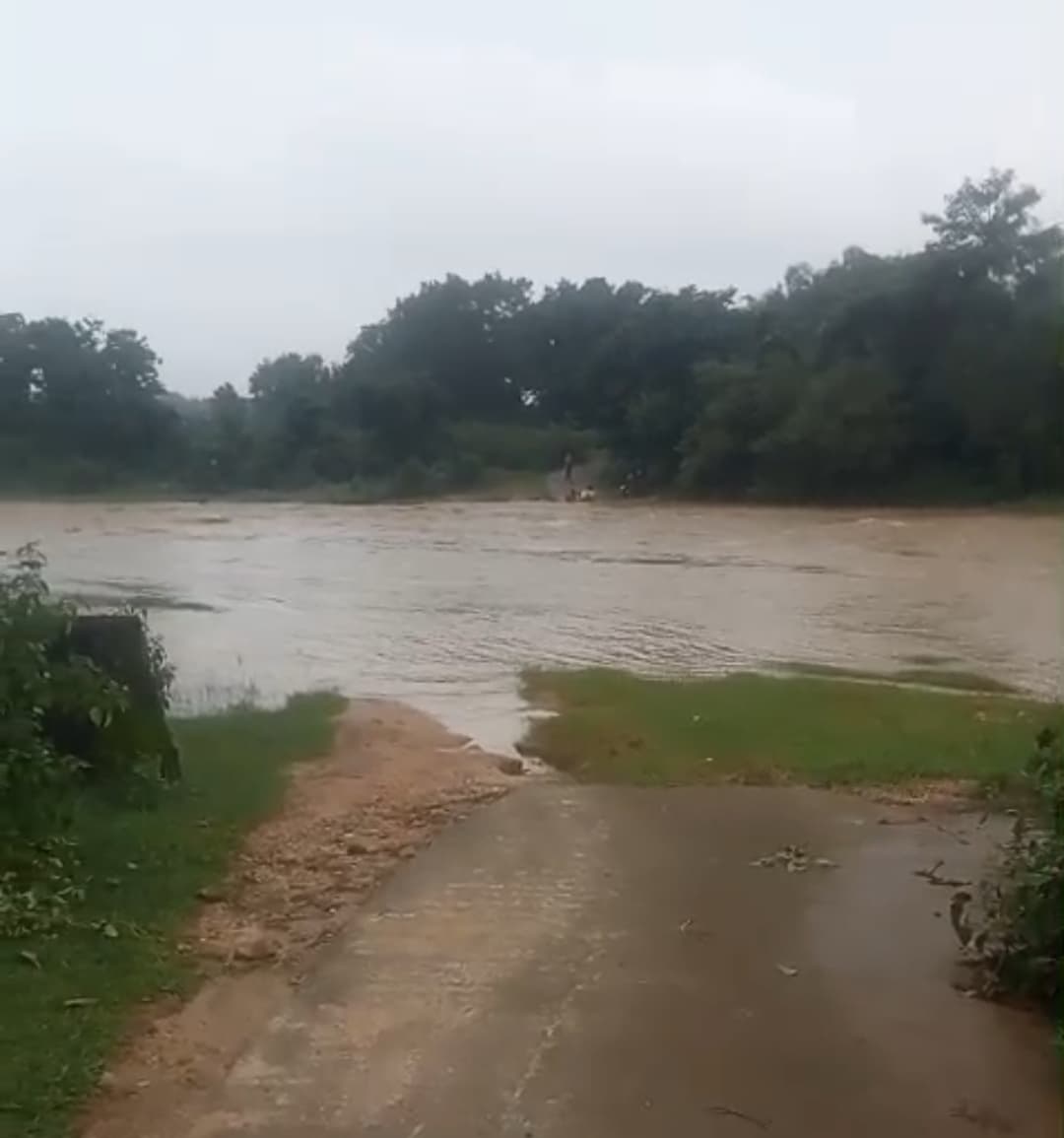 बारिश होते ही टापू में तब्दील हुआ धरधरवा, आवाजाही ठप